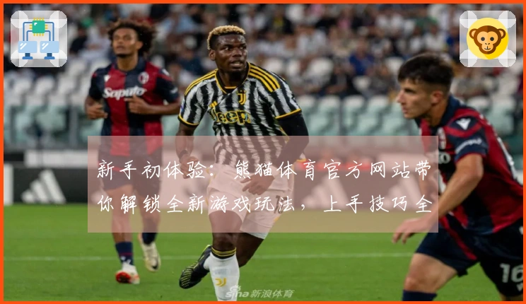 新手初体验：熊猫体育官方网站带你解锁全新游戏玩法，上手技巧全揭秘