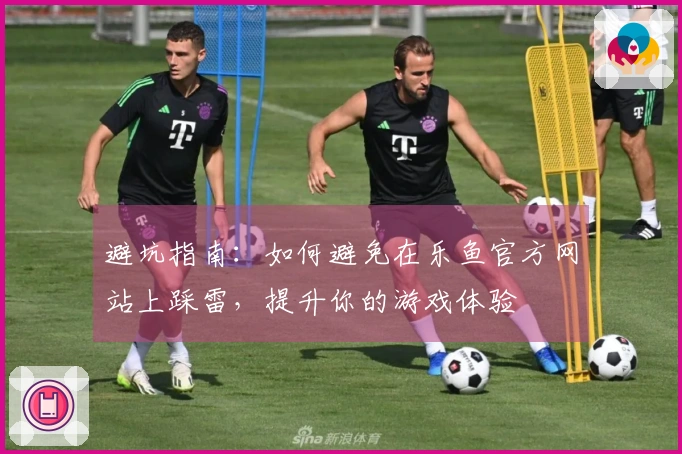 避坑指南：如何避免在乐鱼官方网站上踩雷，提升你的游戏体验